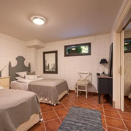 Millie Mansion An Ultimate Luxury For Rent In Villa